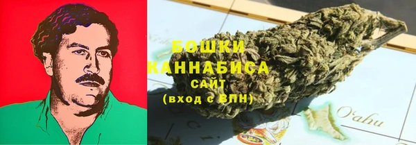 эйфоретик Майский