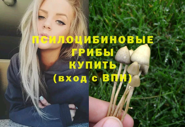 apvp Магадан