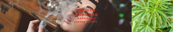 apvp Магадан