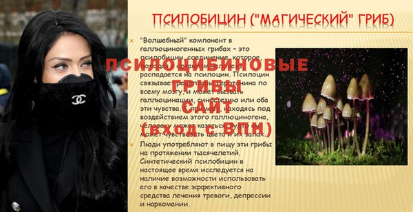 не бодяженный Магас