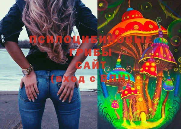 эйфоретик Майский