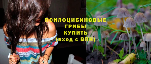 эйфоретик Майский