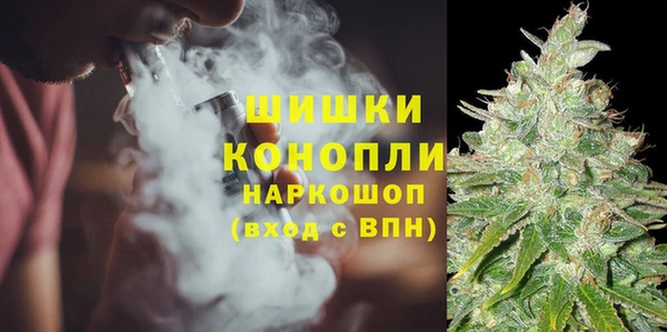 эйфоретик Майский