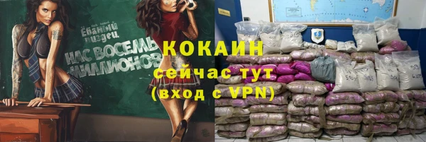 эйфоретик Майский