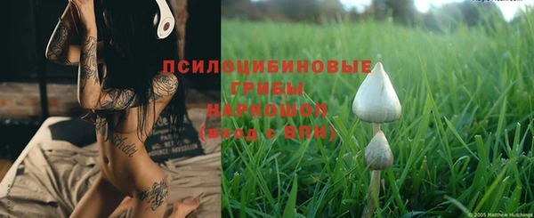 mdma Лиски